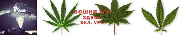 ешки Янаул