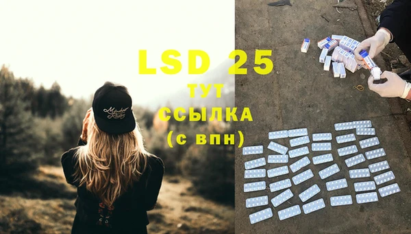 PSILOCYBIN Лабытнанги