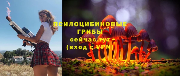 Альфа ПВП Ладушкин