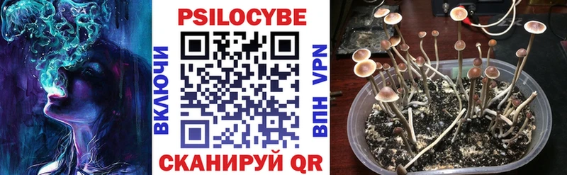Псилоцибиновые грибы ЛСД Кстово